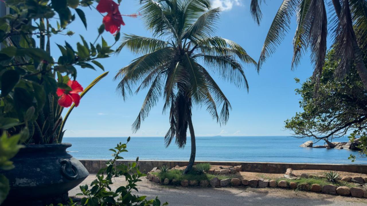 La Petite Maison And Sea Splash Бає-Санта-Анна Екстер'єр фото